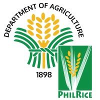 www.philrice.gov.ph careers|Working at Philippine Rice Research Institute .